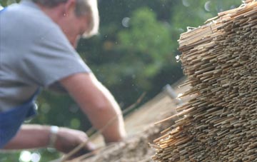 professional South Shields thatchers