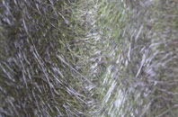 South Shields fibreglass roof work